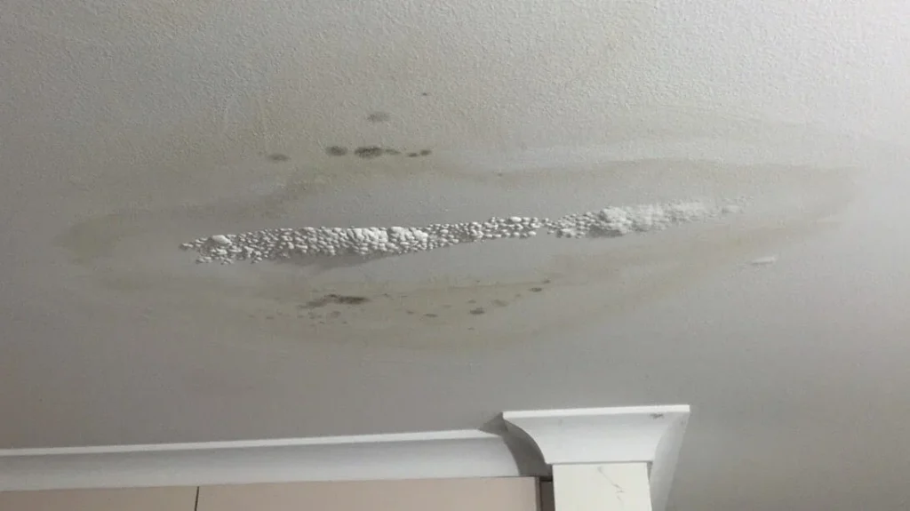 Bubbling Ceiling PlasterPhoto courtesy of: Utter Gutters