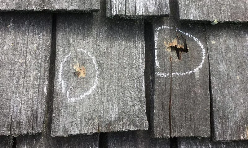 Damaged wood shakes with dents from hail.