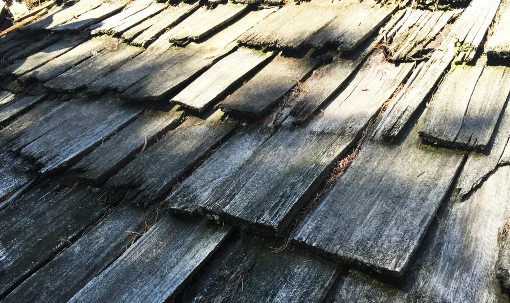 Wood shake shingles warping and discolored.