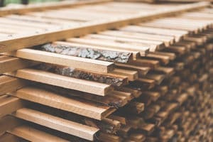 Freshly cut natural cedar wood logs and lumber.