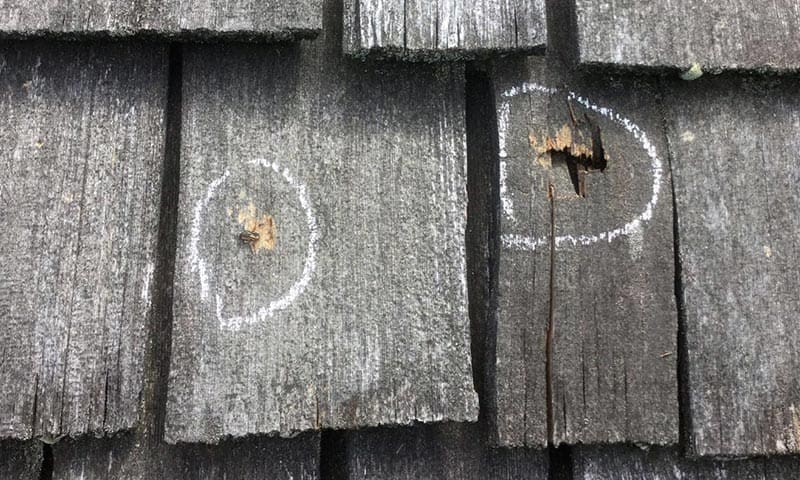 Hail damage on a cedar shake roof in Barrington Hills, Illinois.