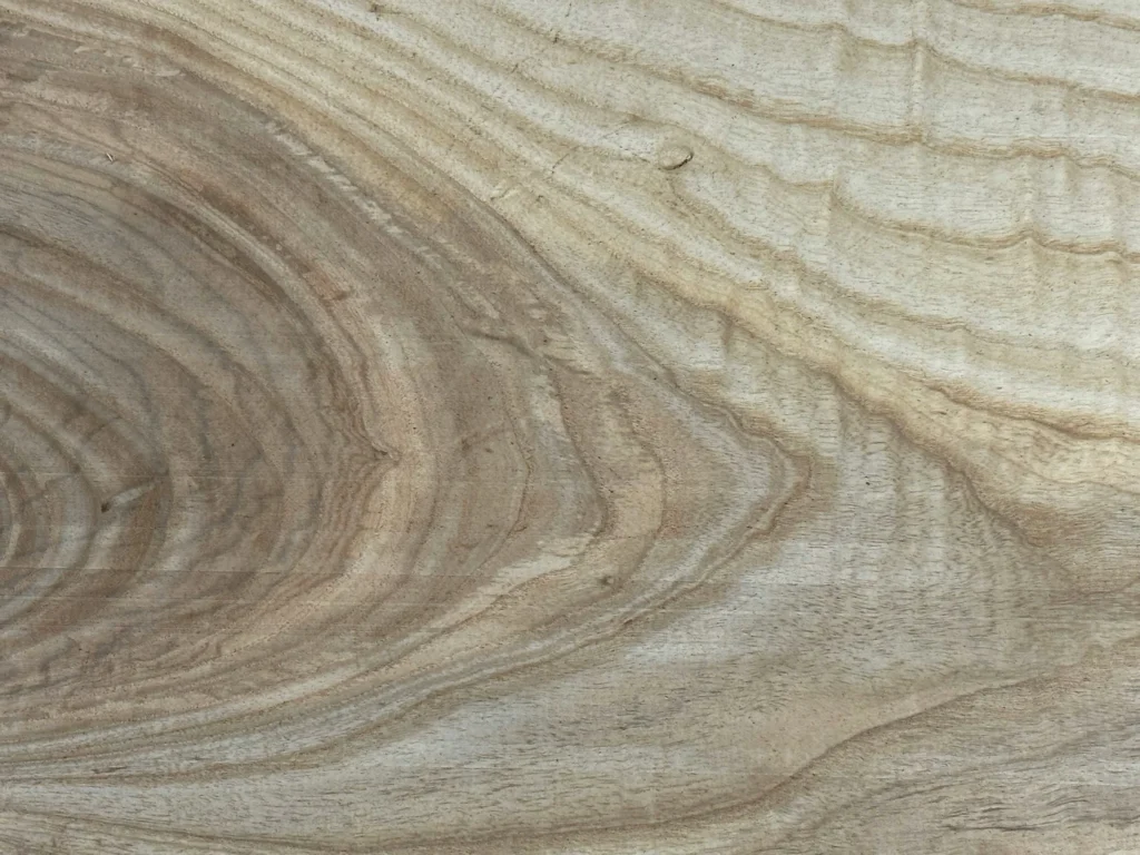 An up close image of wood grain. 