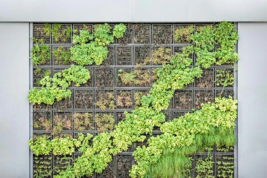 Vertical garden used in modern home design