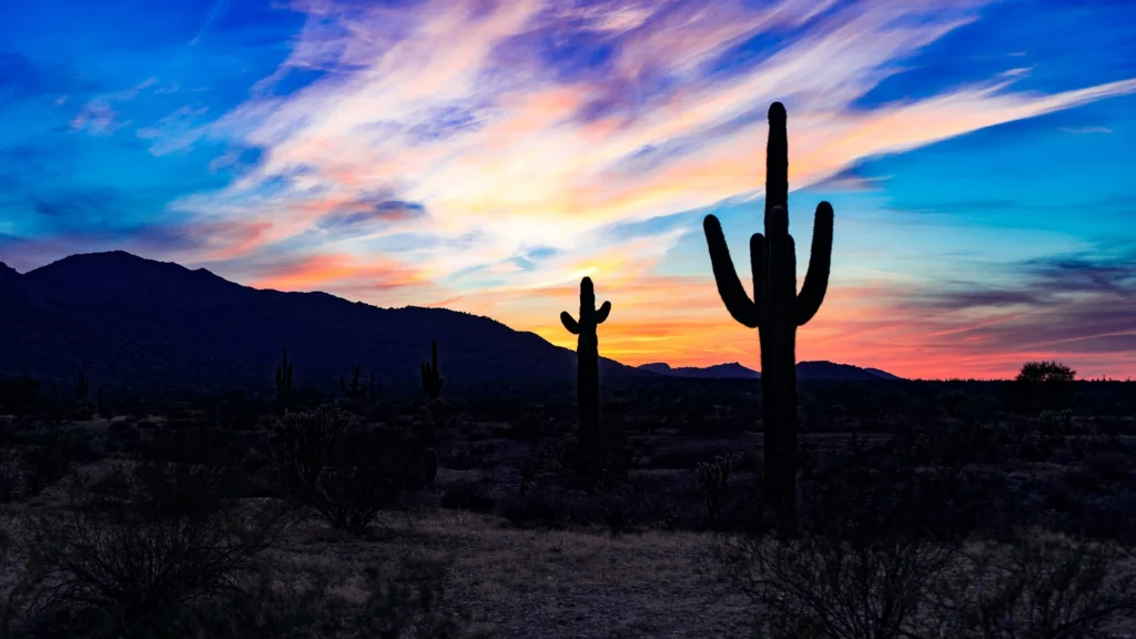Phoenix Arizona landscape.