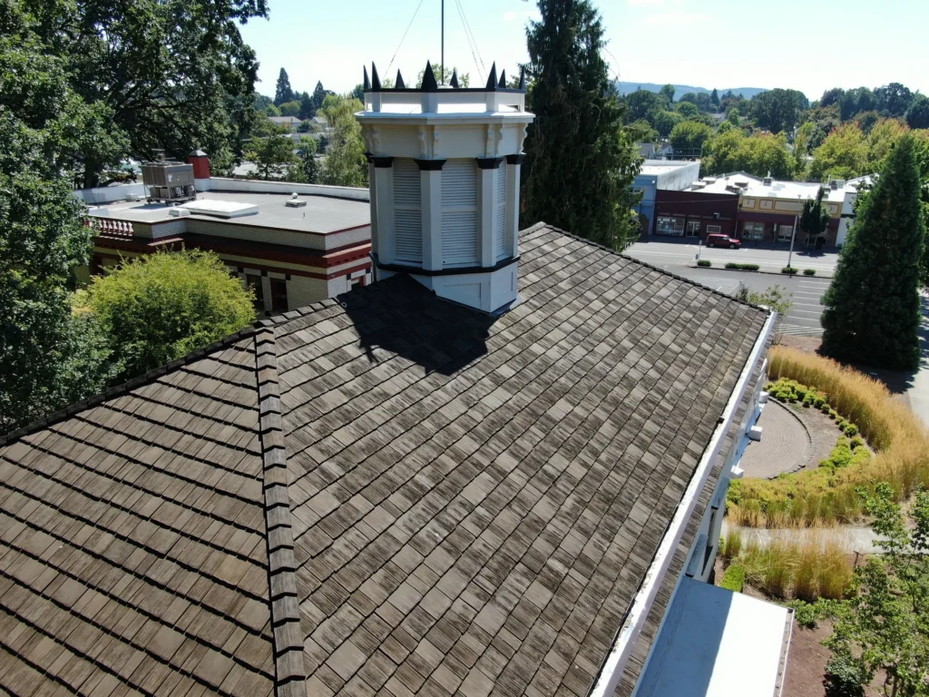 An aerial view of a historic roof. 
