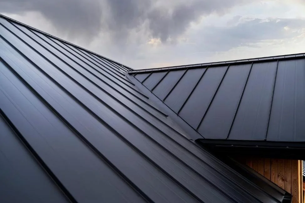 Dark standing seam metal roof with sleek panels under cloudy sky.
