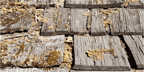 Cedar shake roof with debris.