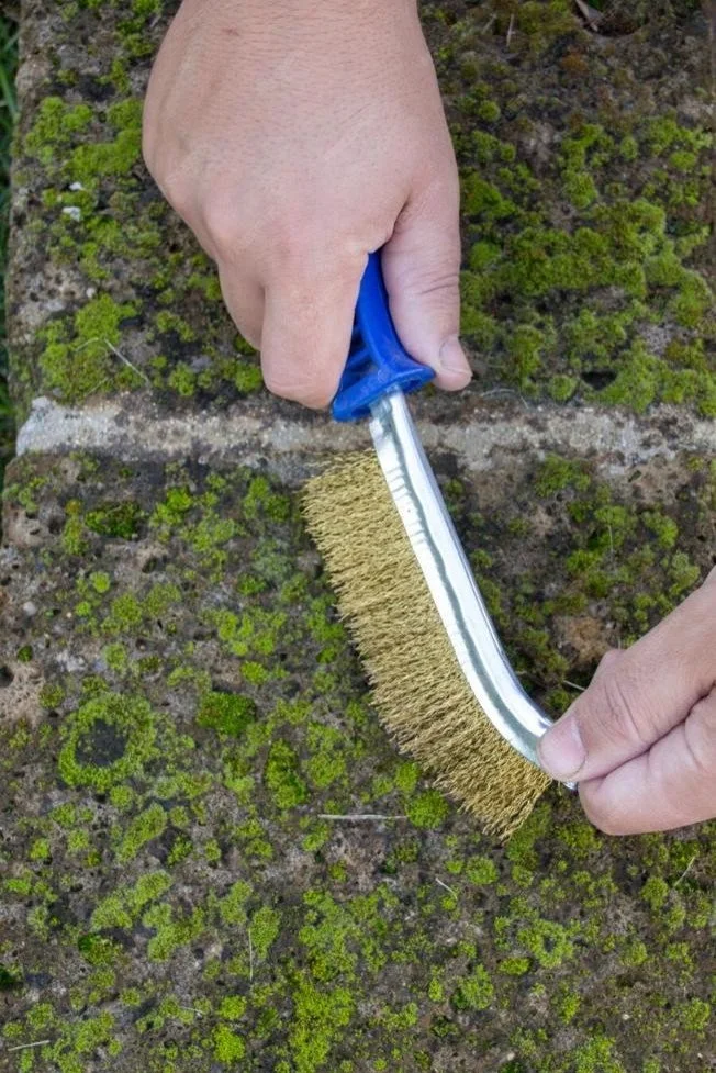 A wire brush to remove roofing moss.